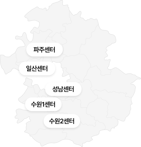 임시 지도 이미지