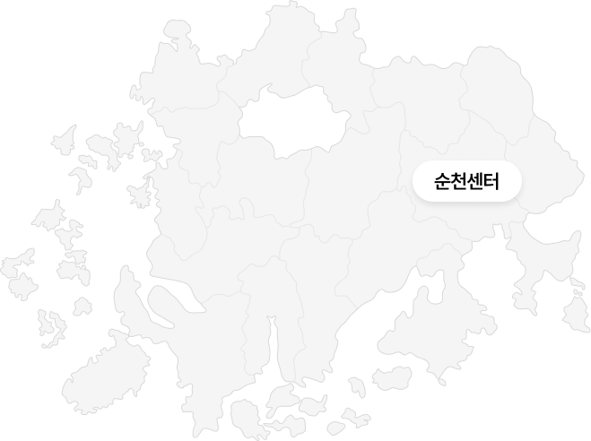 임시 지도 이미지