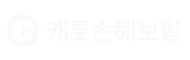 캐롯손해보험