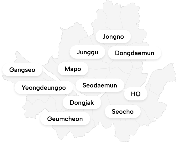 임시 지도 이미지